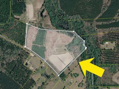 0 A Mt Carmel Road, Walterboro, SC 29488