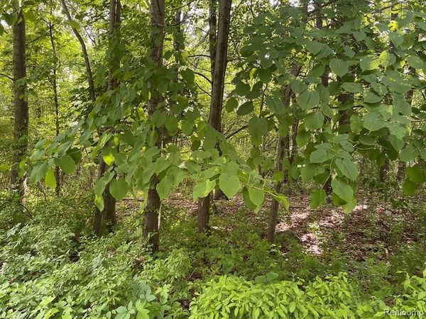 08 Tipsico Lake, Highland Twp, MI 48357