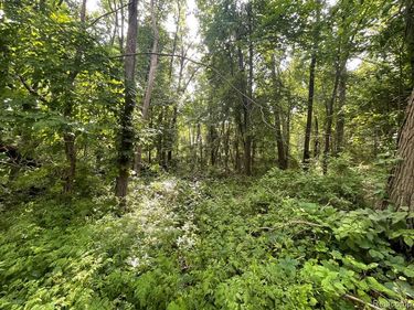 00 Tipsico Lake Road , Highland Twp, MI 48357