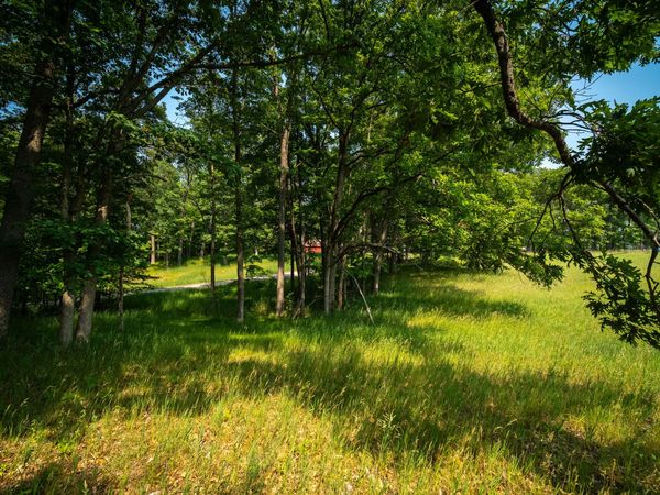 8161 N Hunters Ridge Drive, Irons, MI 49644