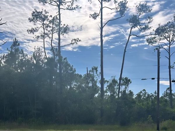 13565 Dauphin Island Parkway , Coden, AL 36523