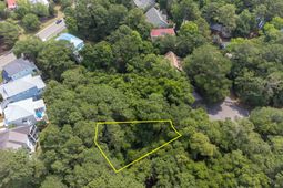 2124 Royal Pine Drive photo 4