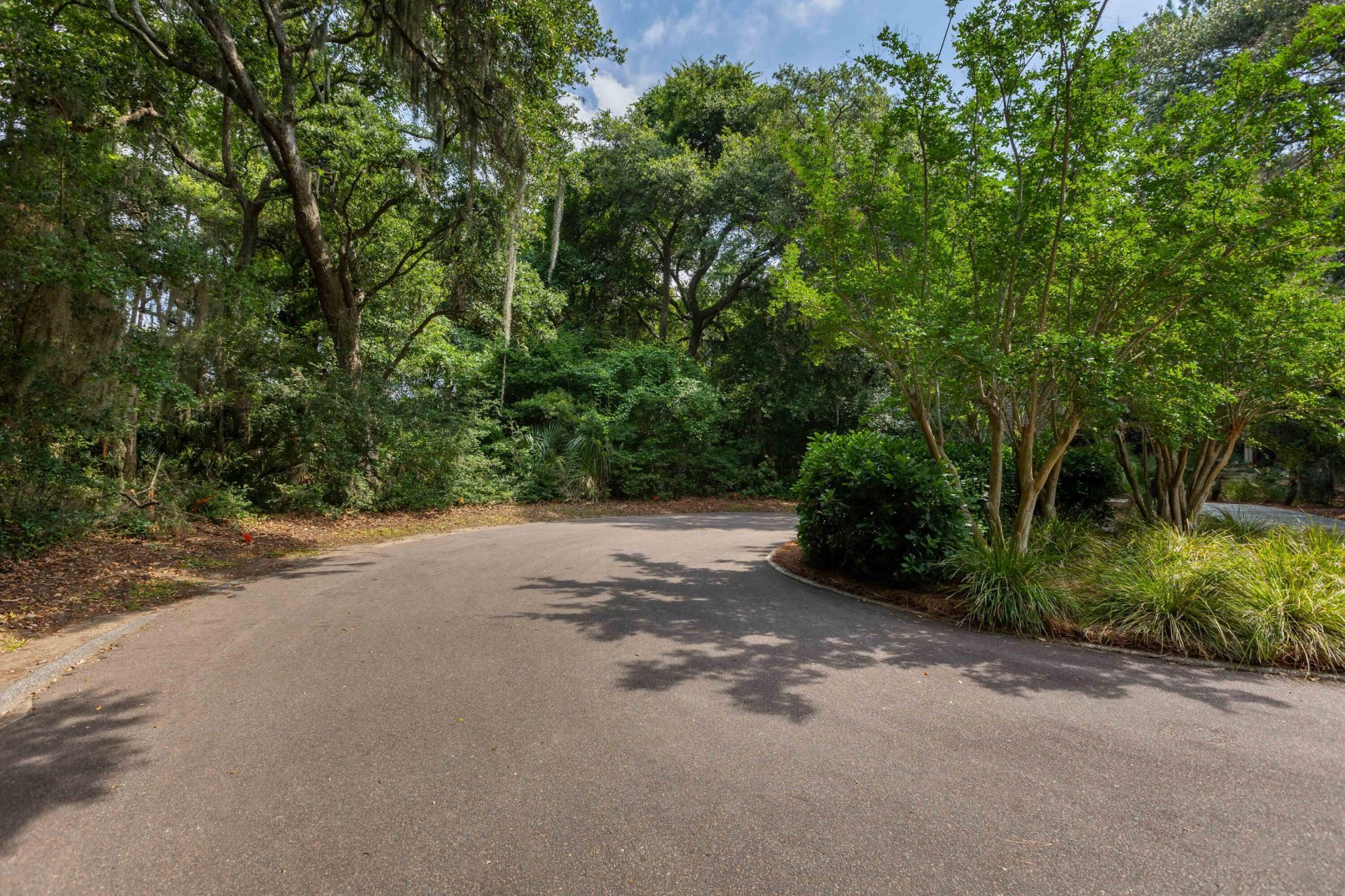 2124 Royal Pine Drive Photo 4