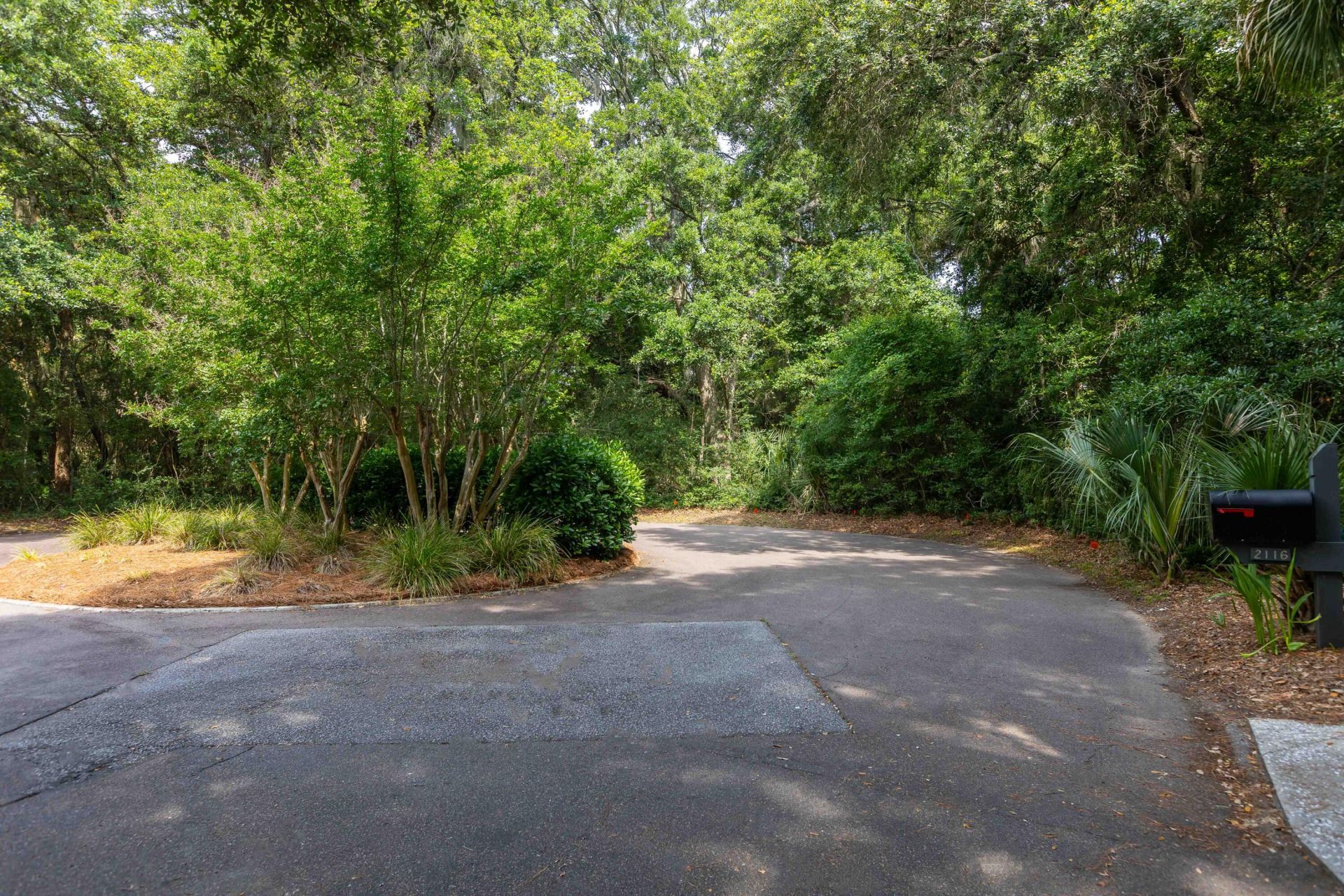 2124 Royal Pine Drive Photo 5