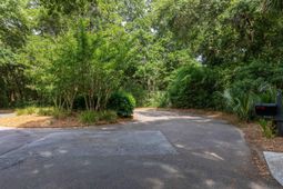 2124 Royal Pine Drive photo 4