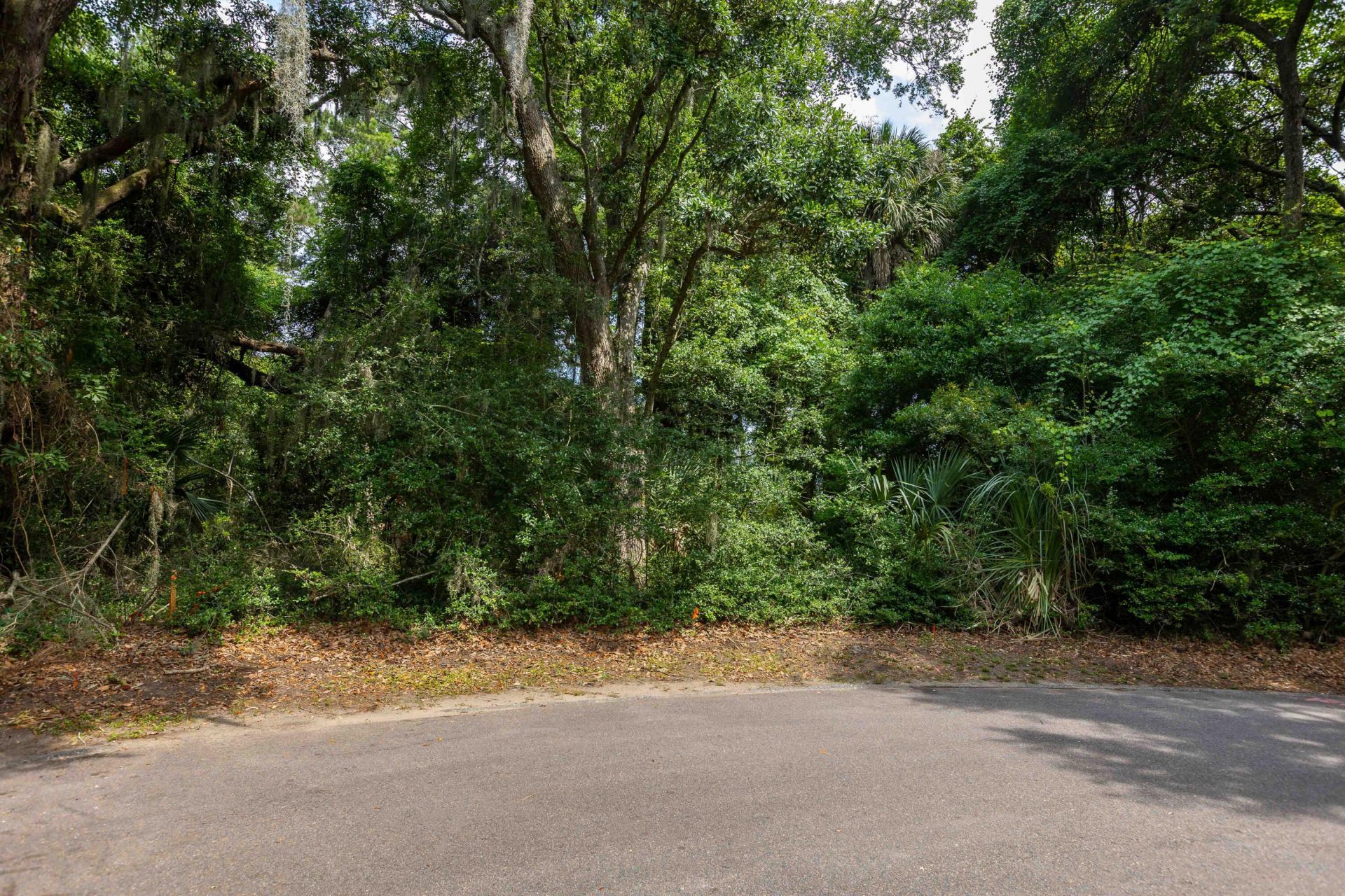 2124 Royal Pine Drive Photo 6