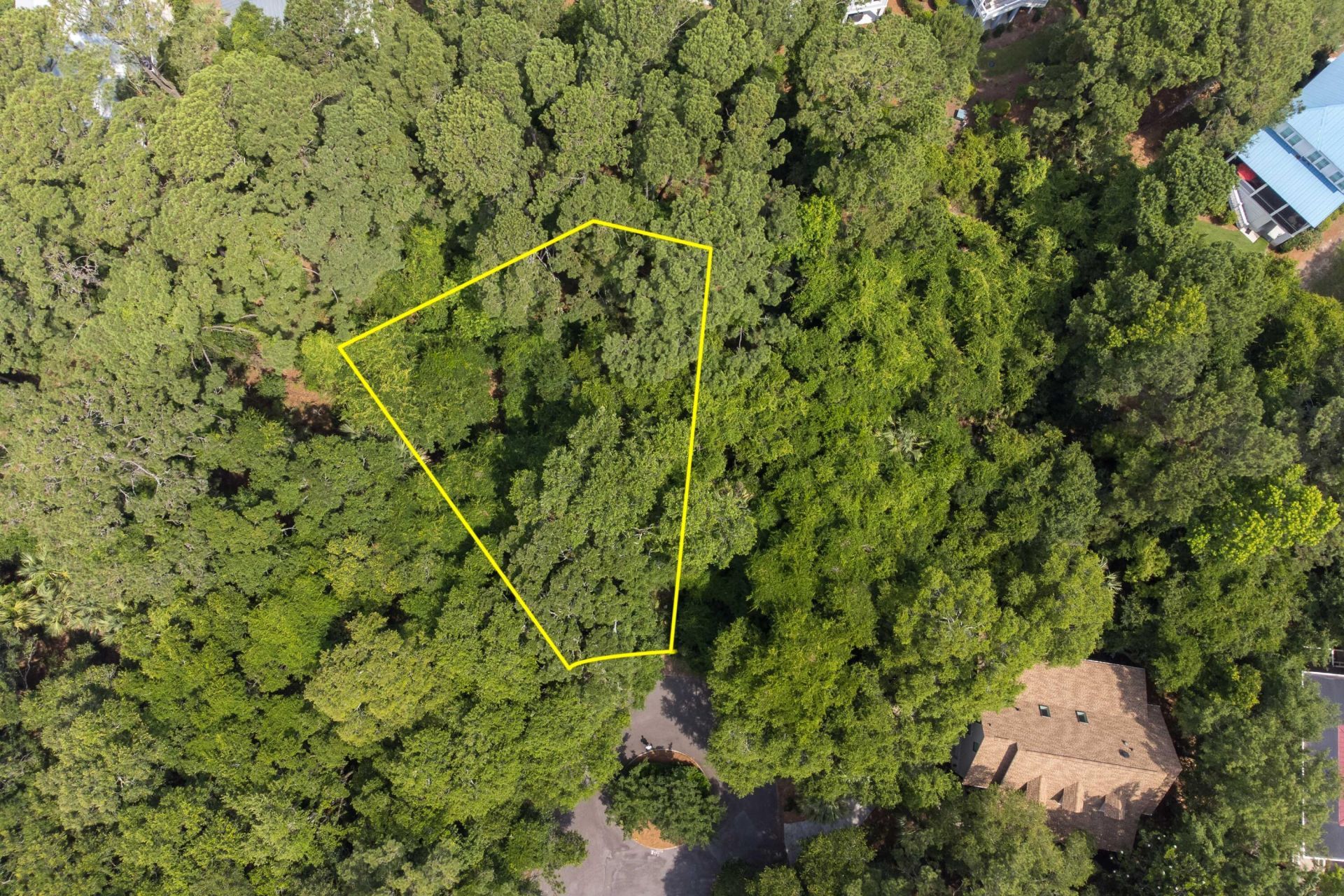 2124 Royal Pine Drive Photo 7