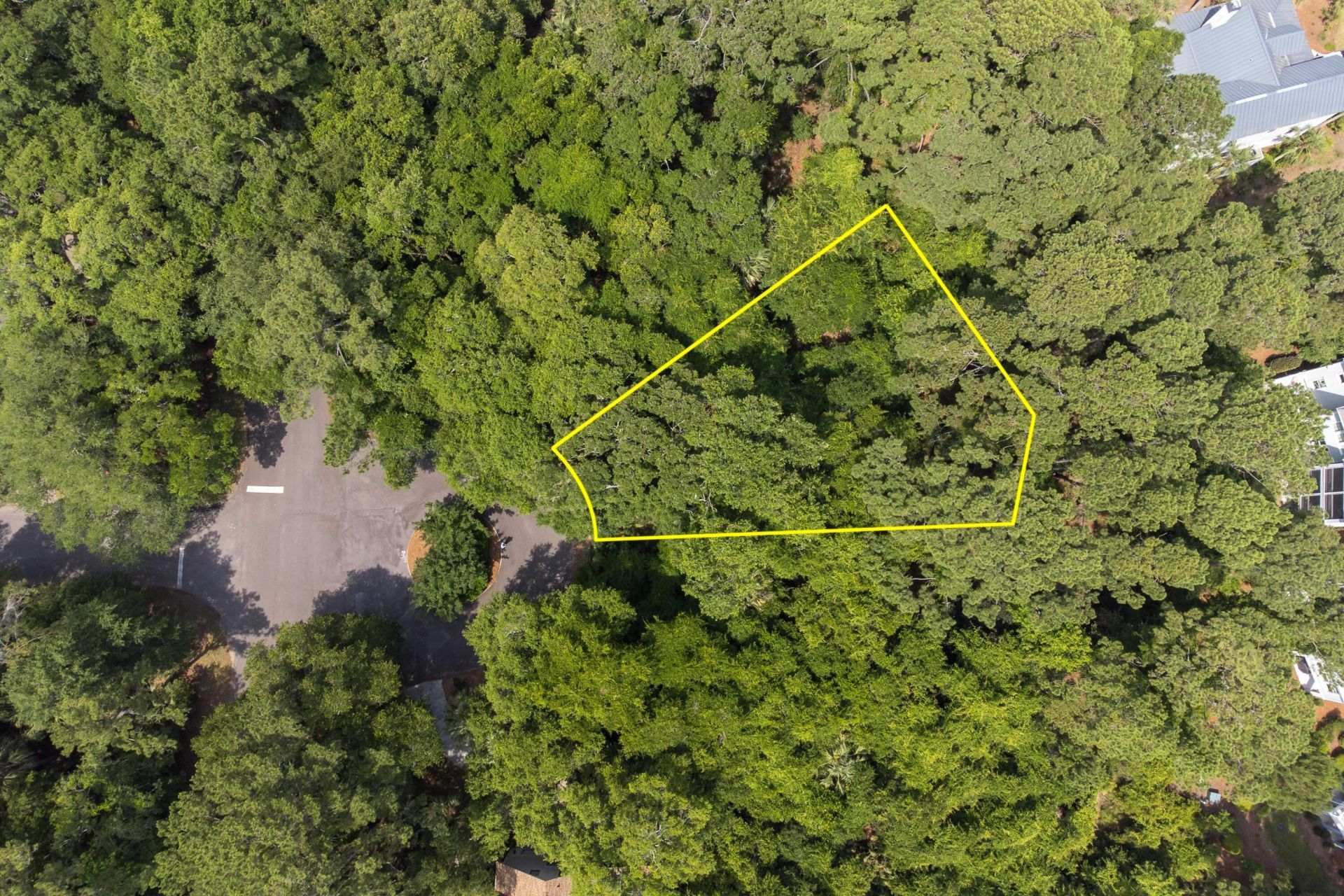 2124 Royal Pine Drive Photo 8