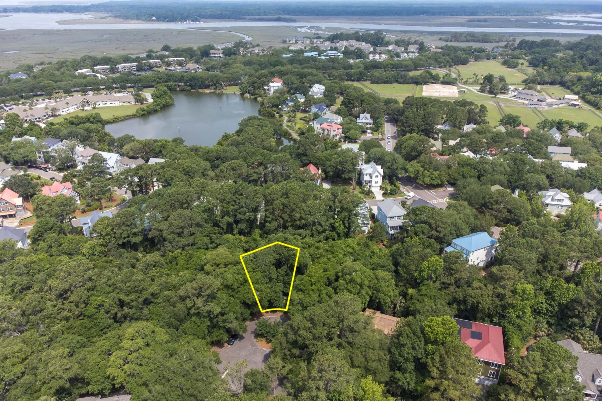 2124 Royal Pine Drive Photo 9