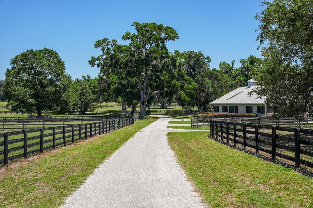 15620 NW Highway 225, Reddick, FL 32686 Photo