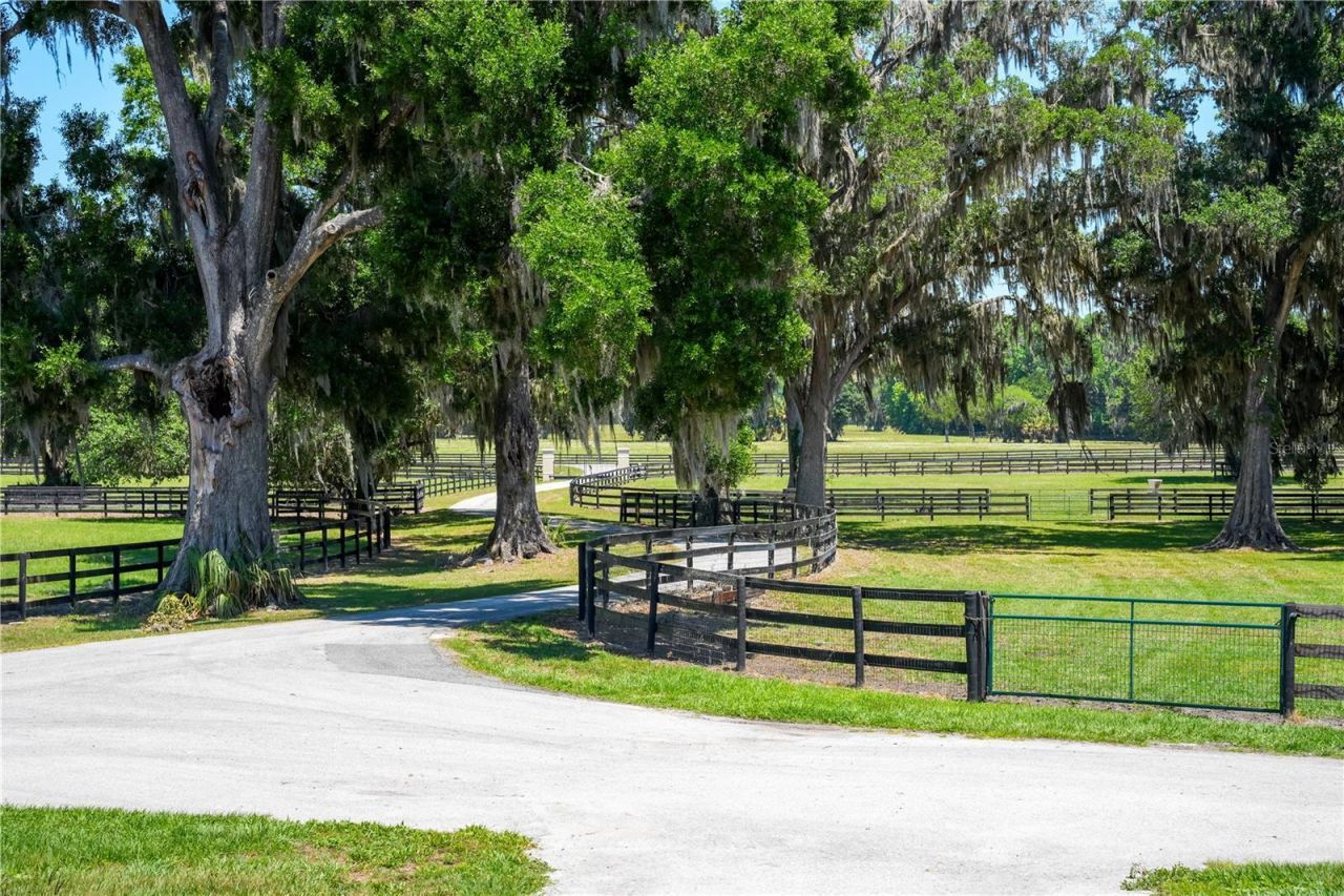 15620 NW Highway 225, Reddick, FL 32686 Photo