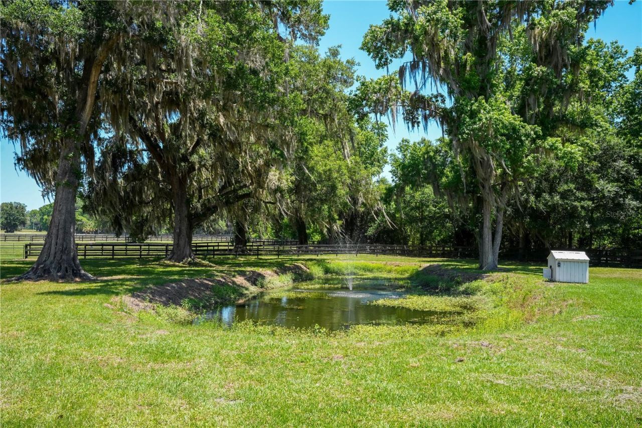 15620 NW Highway 225, Reddick, FL 32686 Photo