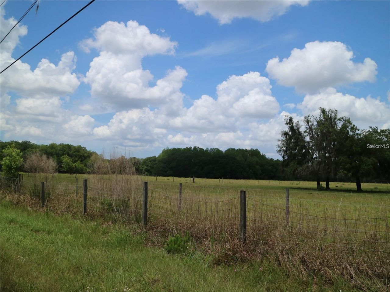 11819 Tarpon Springs Road , Odessa, FL 33556 Photo