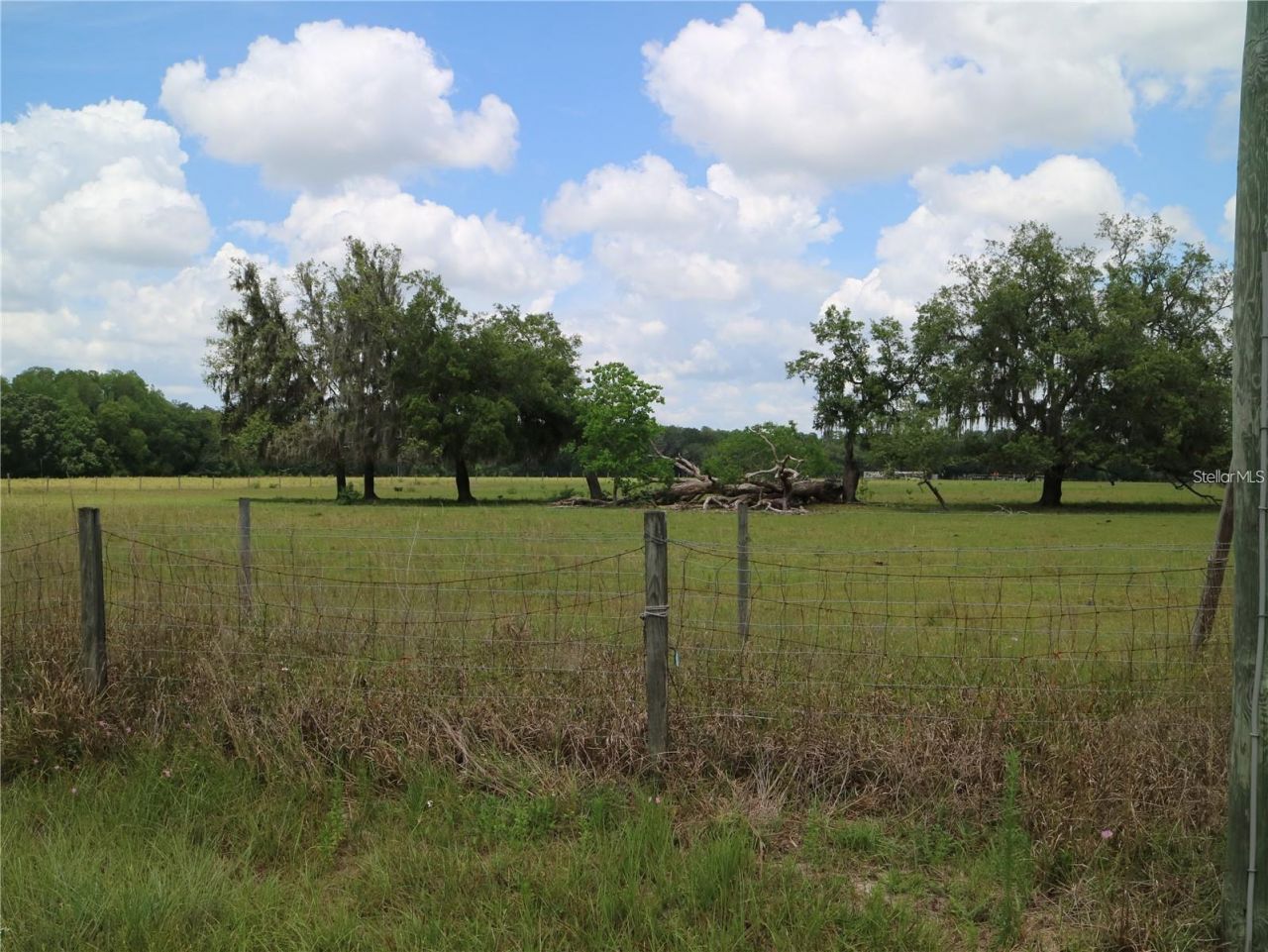 11819 Tarpon Springs Road , Odessa, FL 33556 Photo