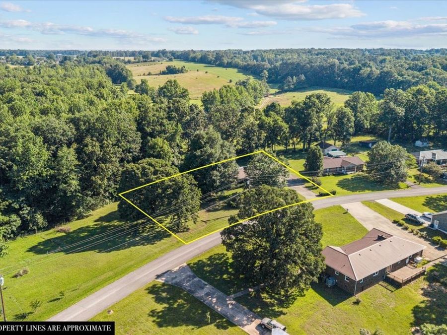 Property Image 38