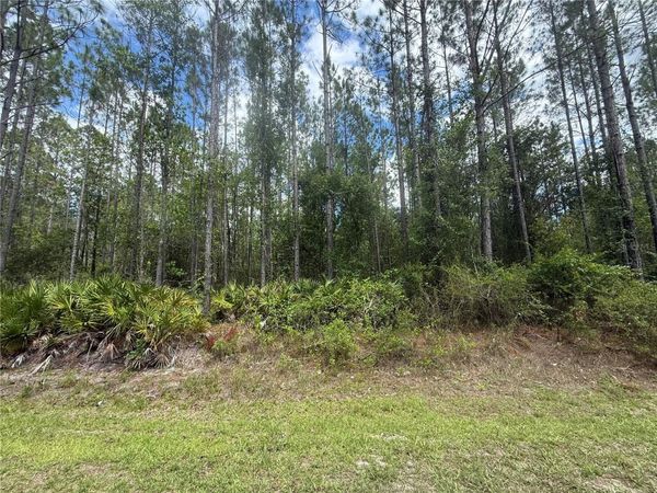 SW 89TH STREET , LAKE BUTLER, FL 32054