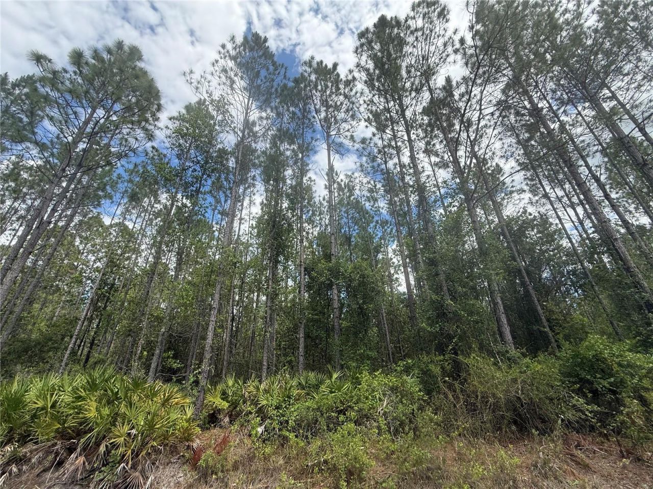 Sw 89th Street, Lake Butler, FL 32054 Photo
