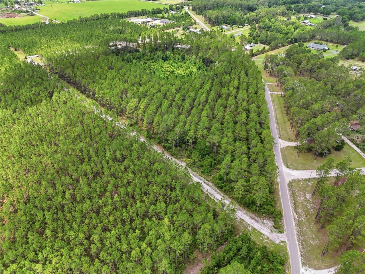 Sw 89th Street, Lake Butler, FL 32054 Photo