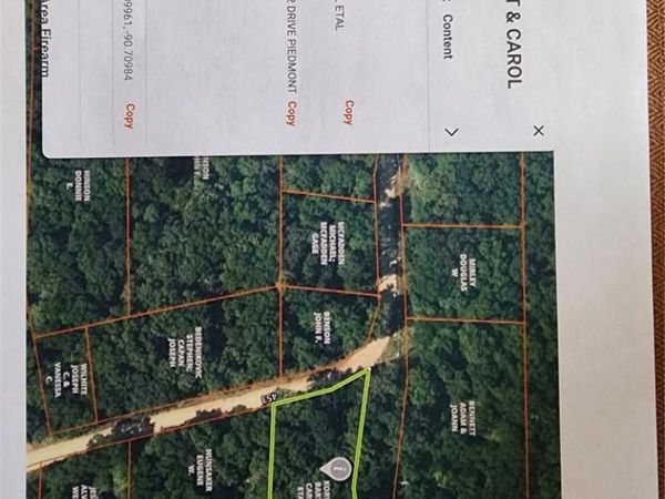0 County Road 453 , Piedmont, MO 63957