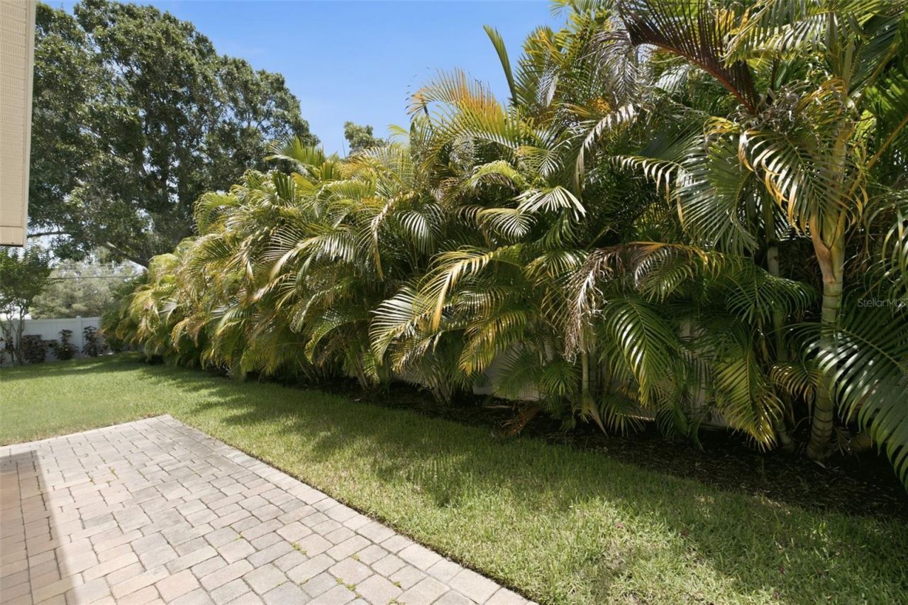 1470 28th Avenue N, Saint Petersburg, FL 33704 Photo