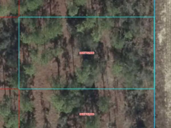 06877-028-00 SE 135TH COURT , WILLISTON, FL 32696