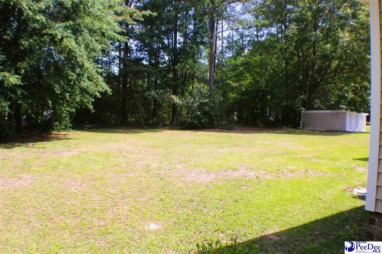 1814 Hawk Hill Drive Photo 6