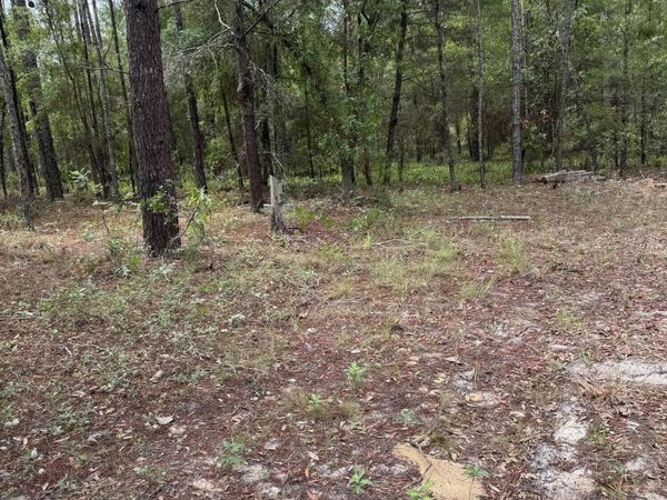 4477 M LAKE Road, Keystone Heights, FL 32656