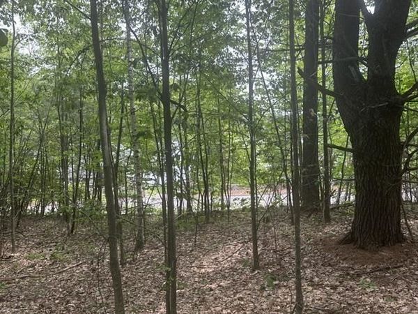 44.1 Lovell Lake Road, Wakefield, NH 03872