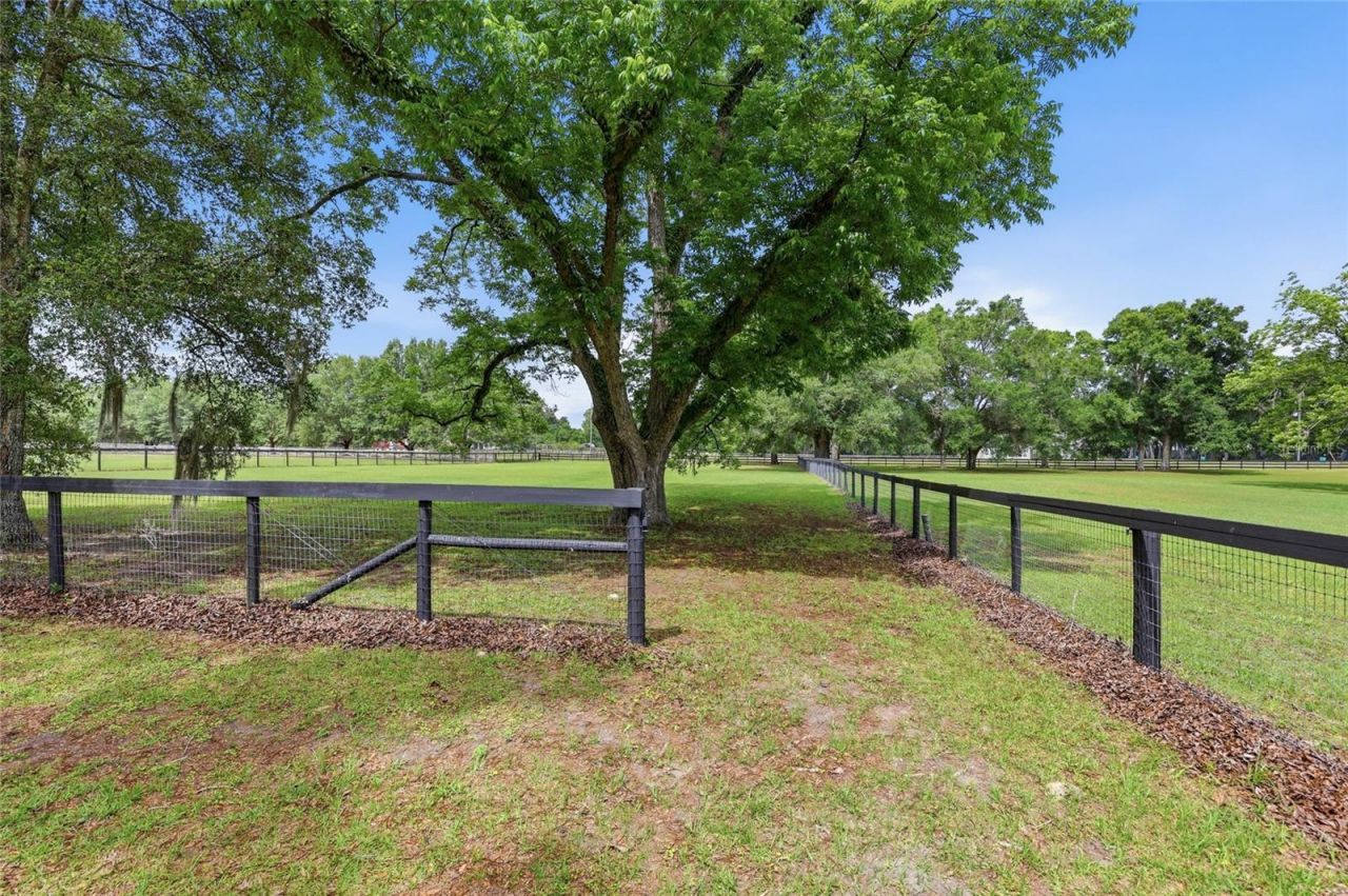 26341 NW 166th Avenue , High Springs, FL 32643 Photo