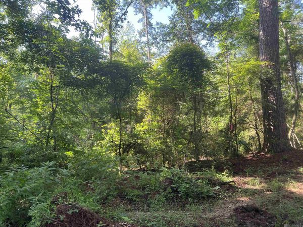Lot 2 Hepzibah Rd, Clinton, LA 70722