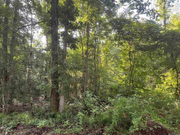 Lot 4 Hepzibah Rd, Clinton, LA 70722