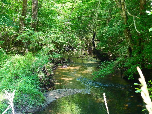 0 Gap Rd E Of Road, Whitwell, TN 37397