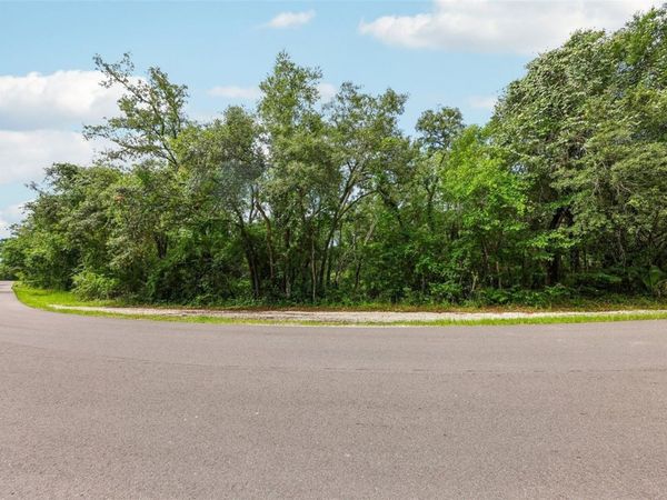 33340 TOMBSTONE ST , WEBSTER, FL 33597