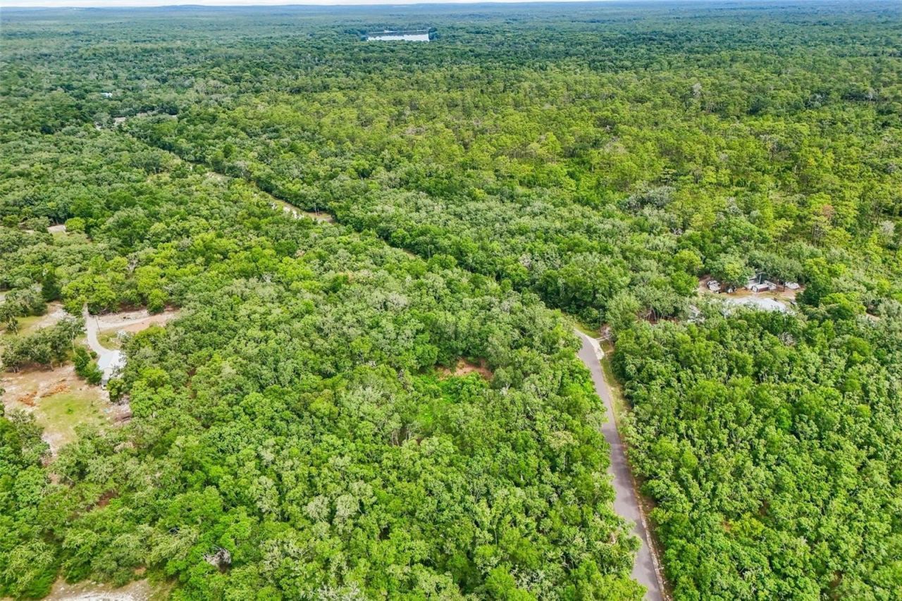33340 Tombstone St , Webster, FL 33597 Photo