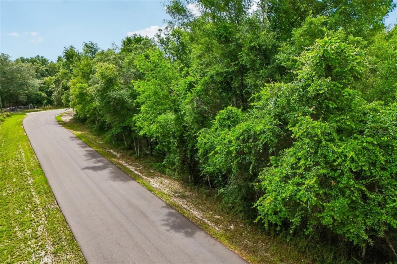 33340 Tombstone St , Webster, FL 33597 Photo