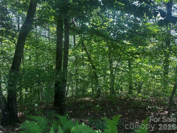 0 South Drive , Lake Lure, NC 28746