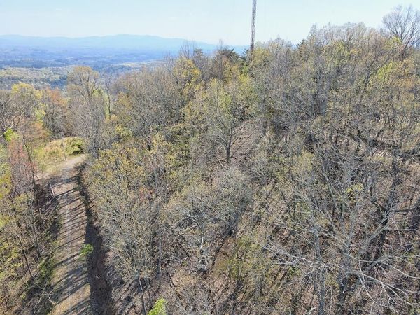 Lot 36 Moosilaukee Drive, Mineral Bluff, GA 30559