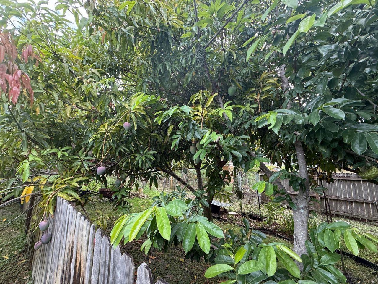 320 W 29th Street, Riviera Beach, FL 33404 Photo