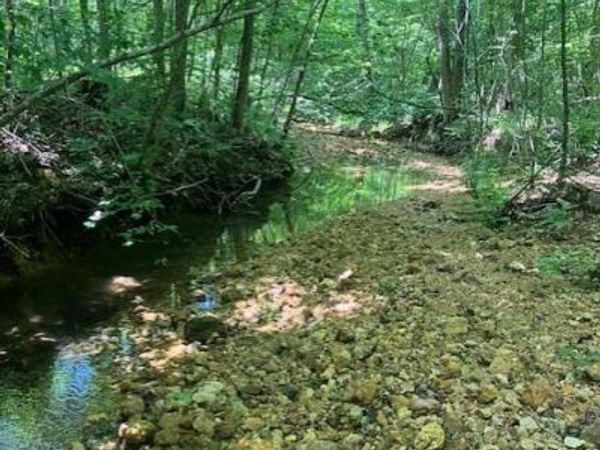242 Madison CR 410 , Fredericktown, MO 63645