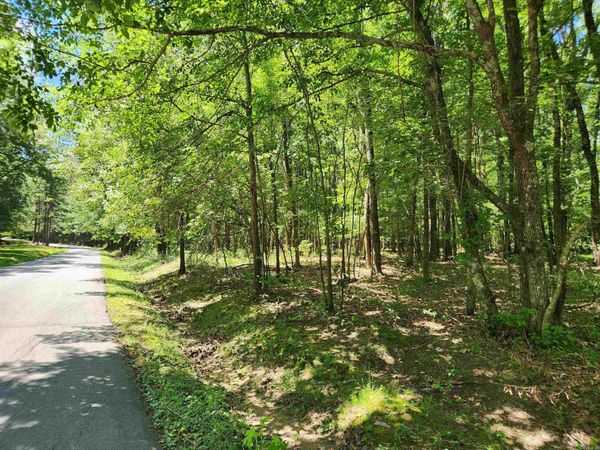 000 Roosevelt Drive , Star City, AR 71667