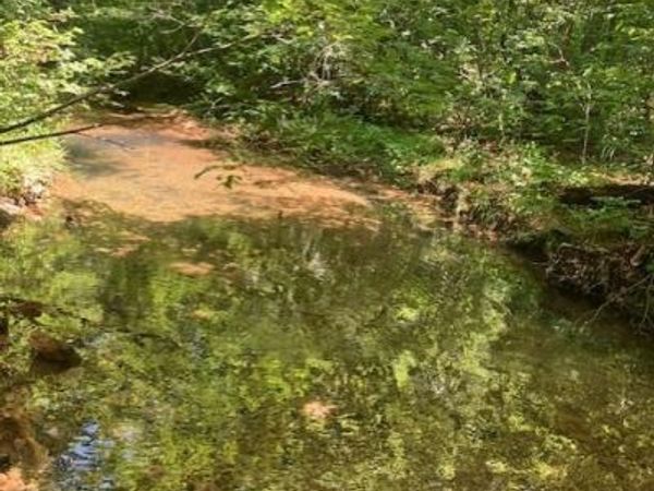 243 Madison CR 410 , Fredericktown, MO 63645
