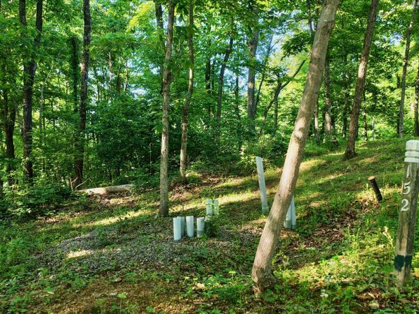 Withrow Landing, Caldwell, WV 24925