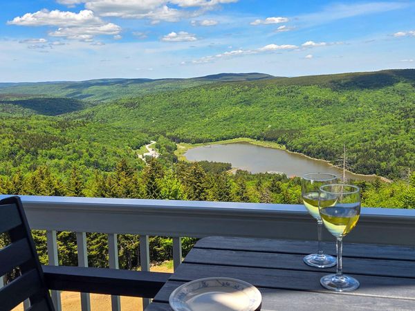 350 Mountain Lodge, Snowshoe, WV 26209