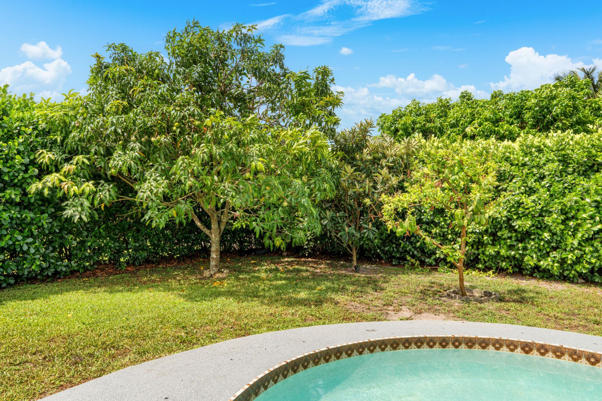 10098 Ramblewood Drive, Coral Springs, FL 33071 Photo