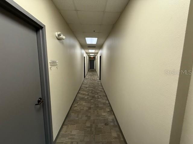 326 N Mills Avenue , Orlando, FL 32803 Photo