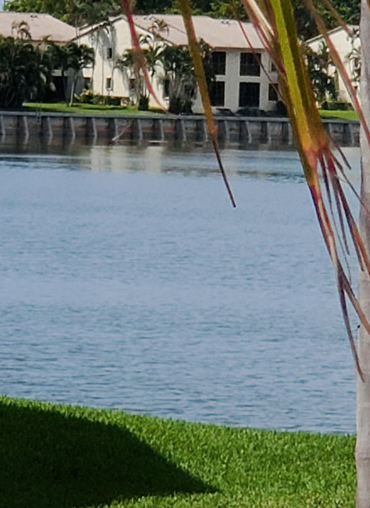 321 Norwood Terrace, Unit N224, Boca Raton, FL 33431 Photo