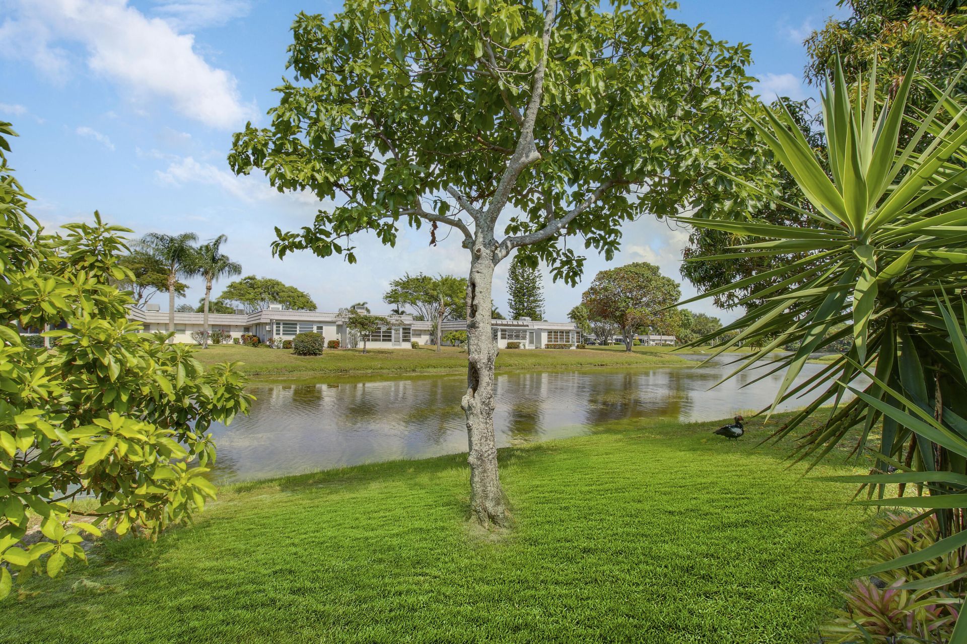 175 Valencia H, Delray Beach, FL 33446 Photo