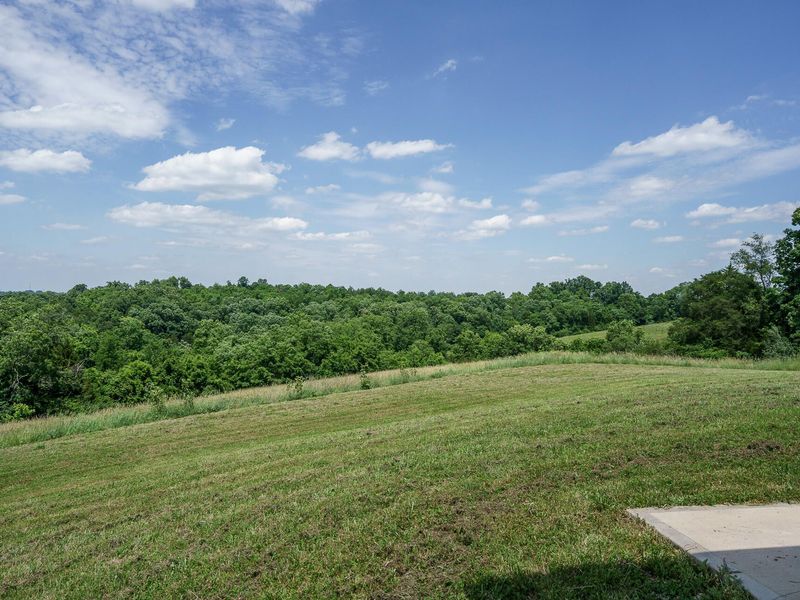 10377 Woeste Road, Alexandria, KY 41001 Photo 43