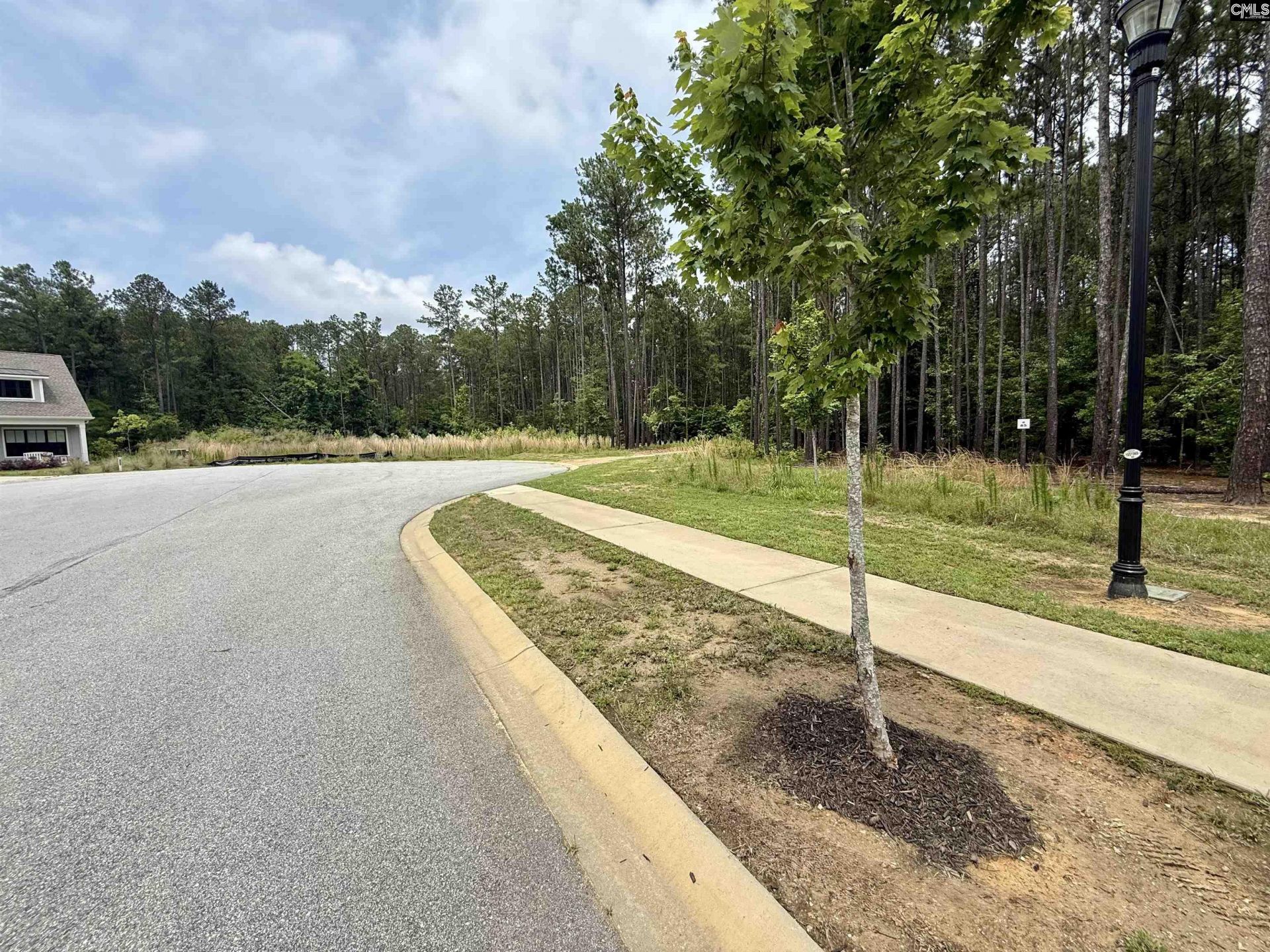 Lot 84 Timber Trail Lane Photo 4