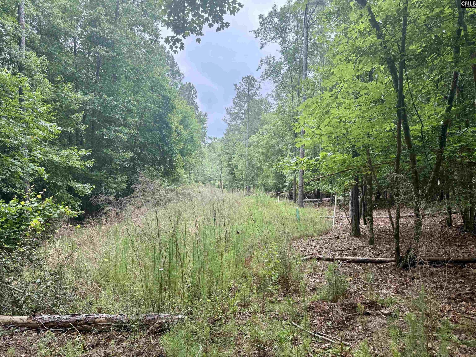Lot 84 Timber Trail Lane Photo 5